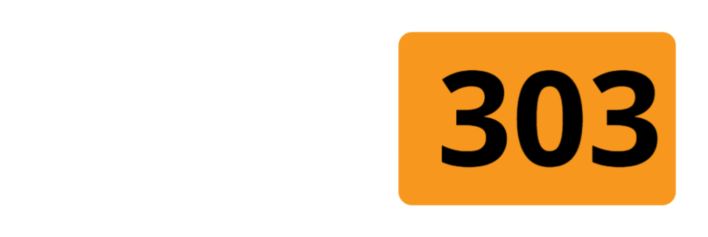 logo LEVEL303